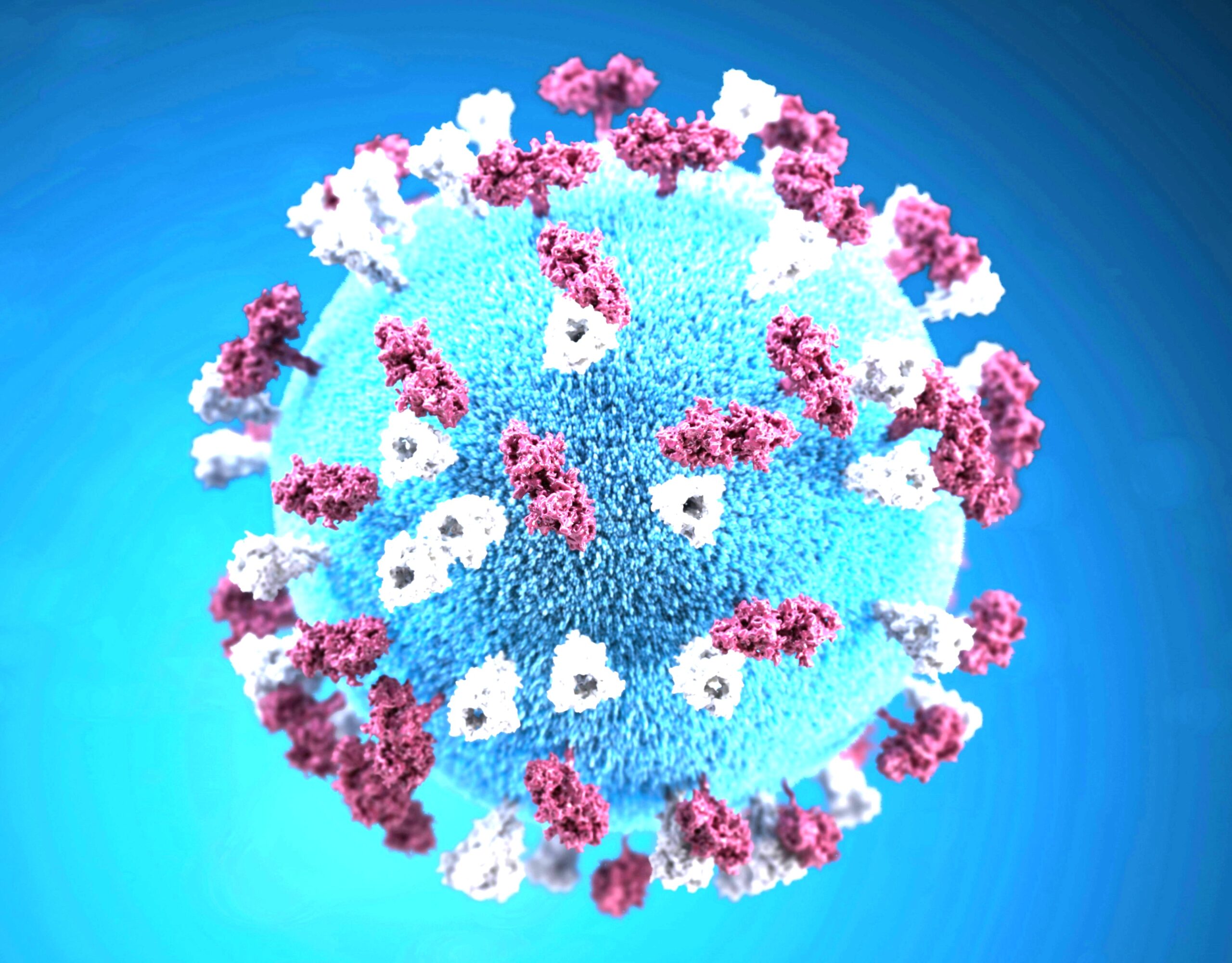 Enlarged microscope picture of a Measles bacteria